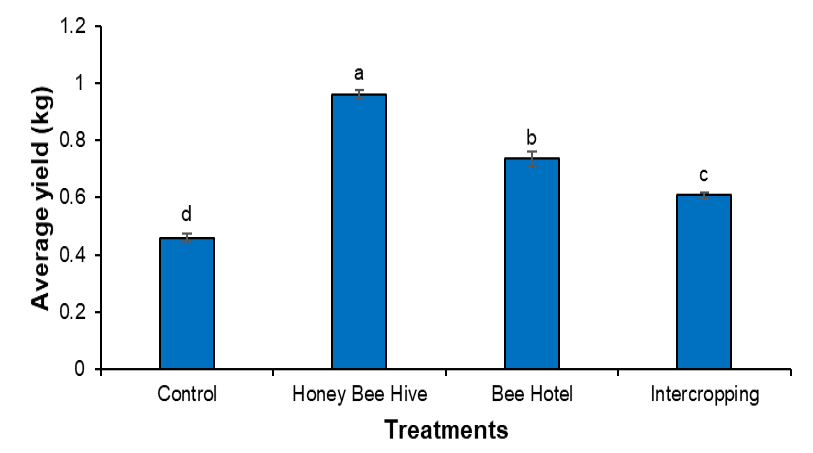 Figure 2: