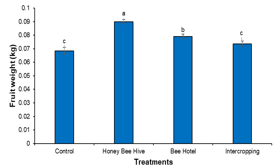 Figure 3: