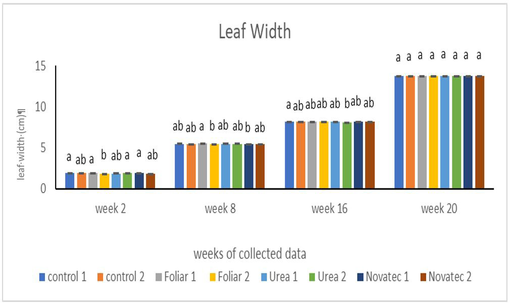 Figure 4: