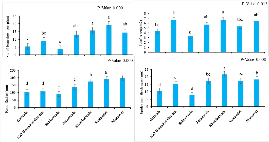 Figure 3: