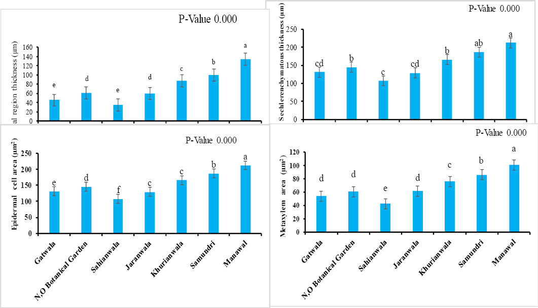 Figure 4: