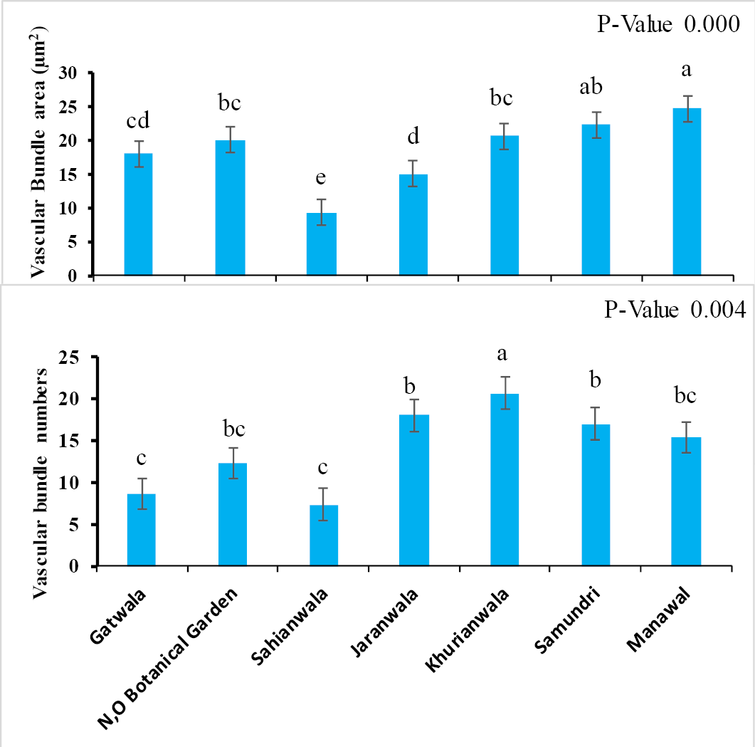 Figure 5: