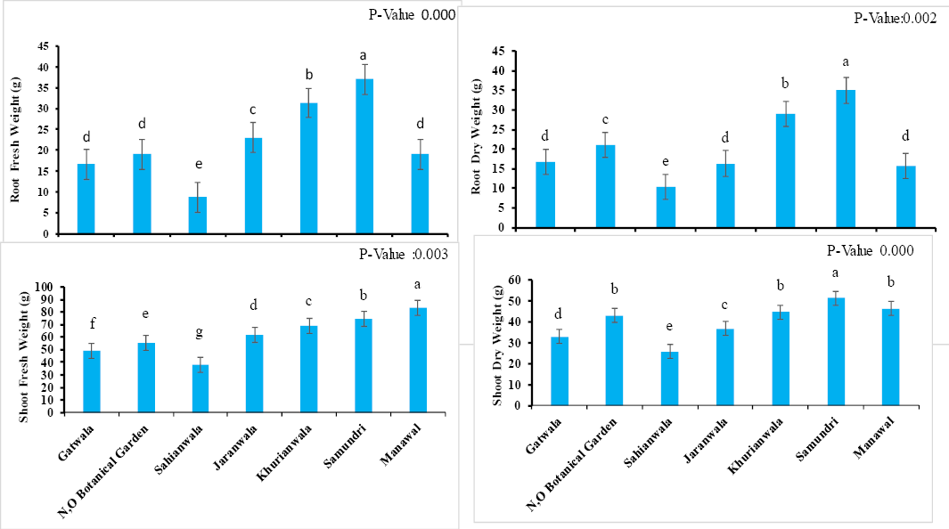 Figure 2: