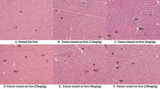 Figure 7: