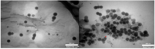 Figure 5: