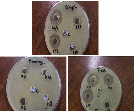 Figure 6: