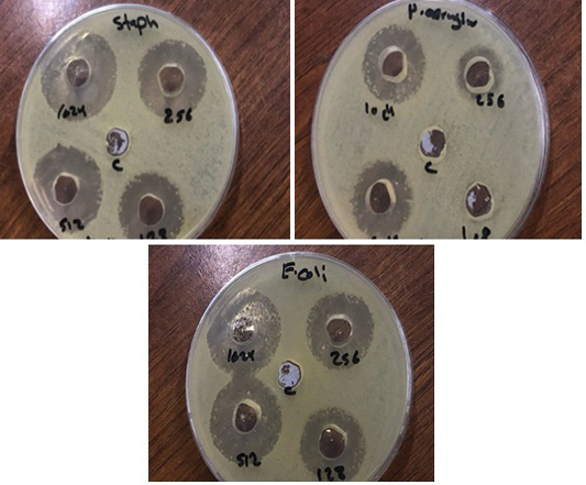 Figure 7: