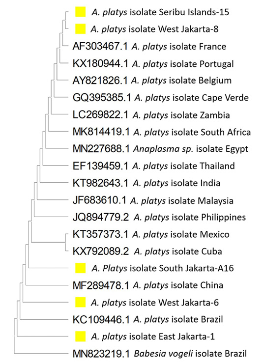 Figure 3: