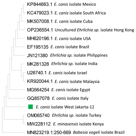 Figure 4: