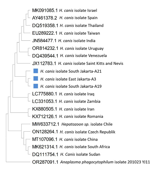 Figure 2: