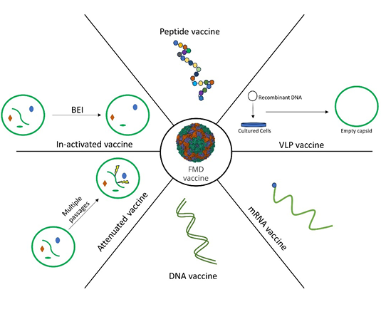 Figure 2: