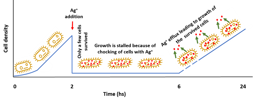 Fig. 6.