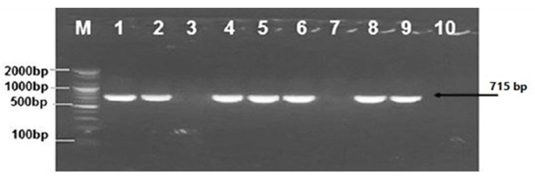 Figure 8: