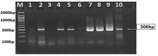 Figure 9: