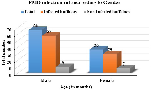 Figure 6: