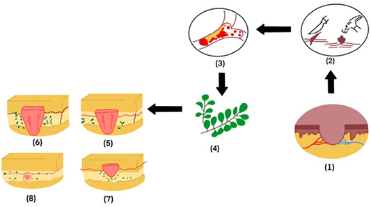Figure 6: