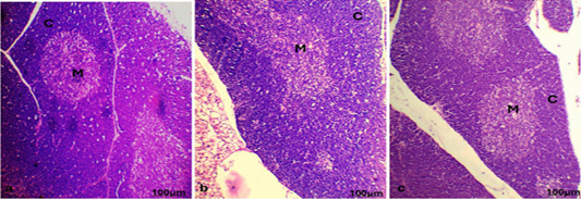 Figure 2: