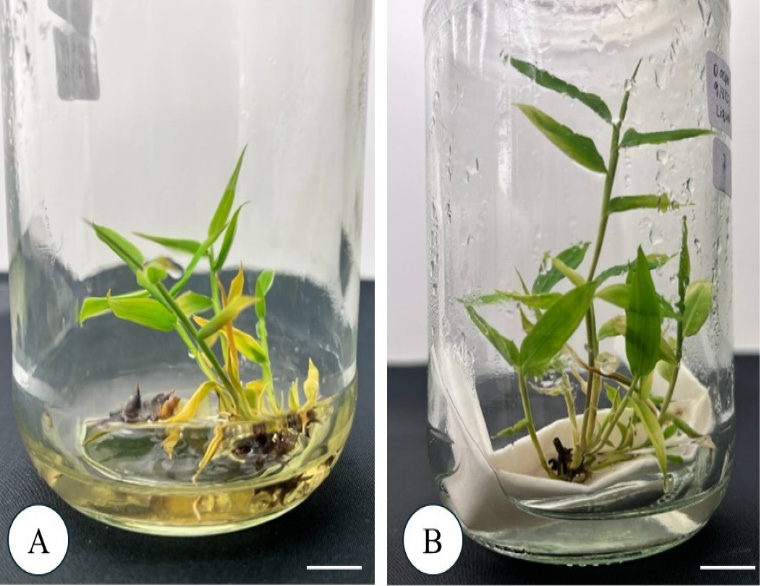 Figure 3:
