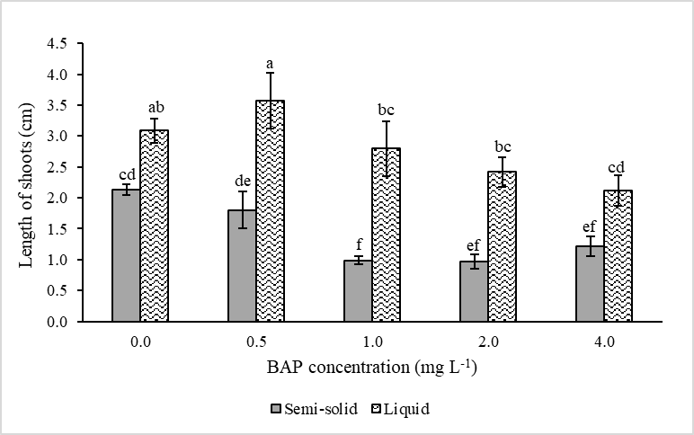 Figure 2: