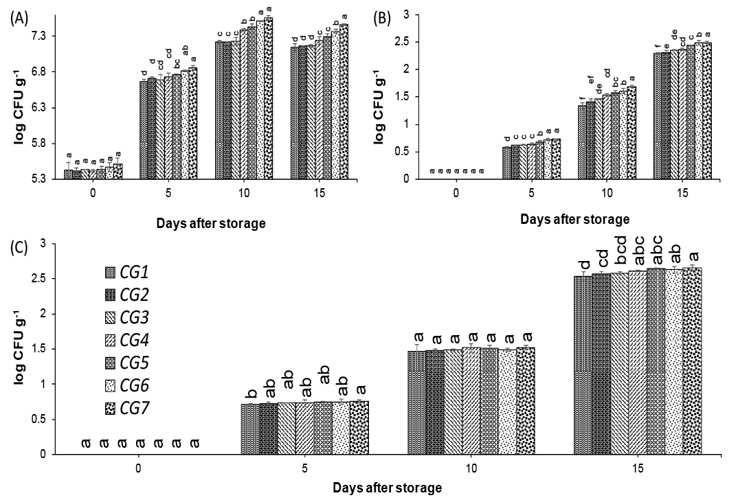 Figure 3: