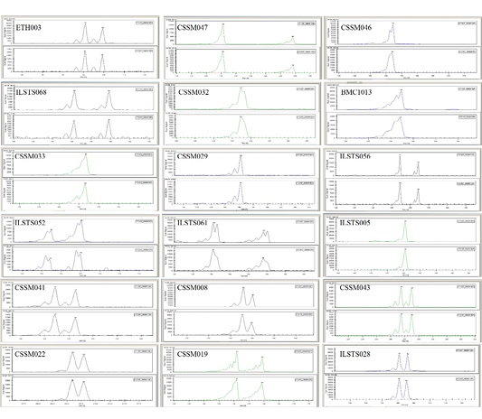 Figure 2: