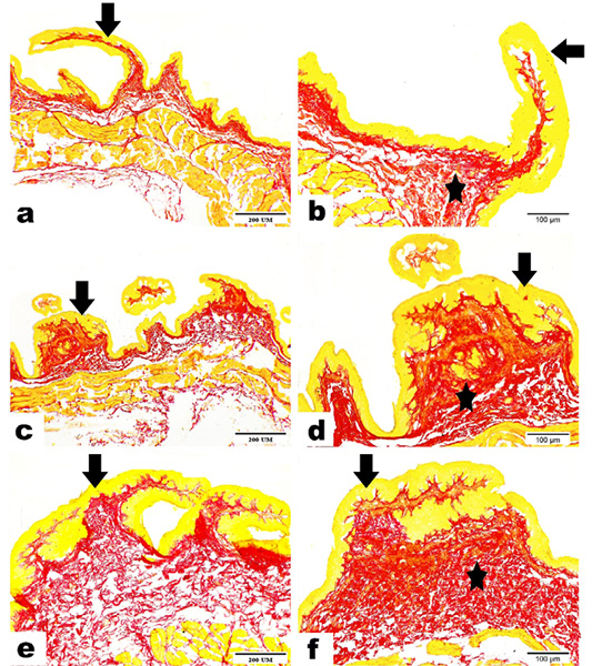 Figure 15: