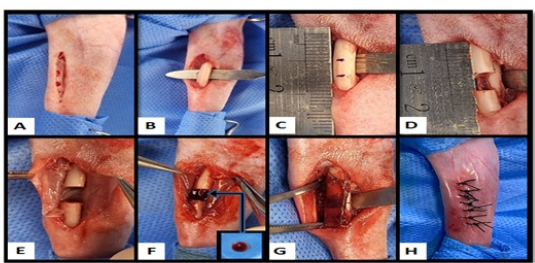Figure 3: