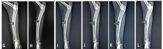 Figure 5: