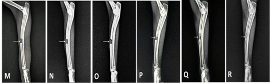 Figure 6: