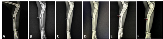 Figure 4: