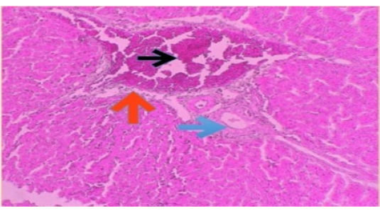 Figure 6: