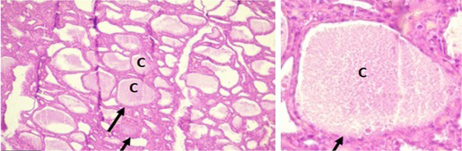Figure 4: