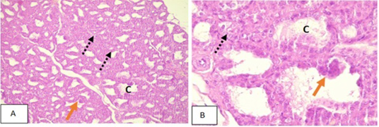 Figure 3: