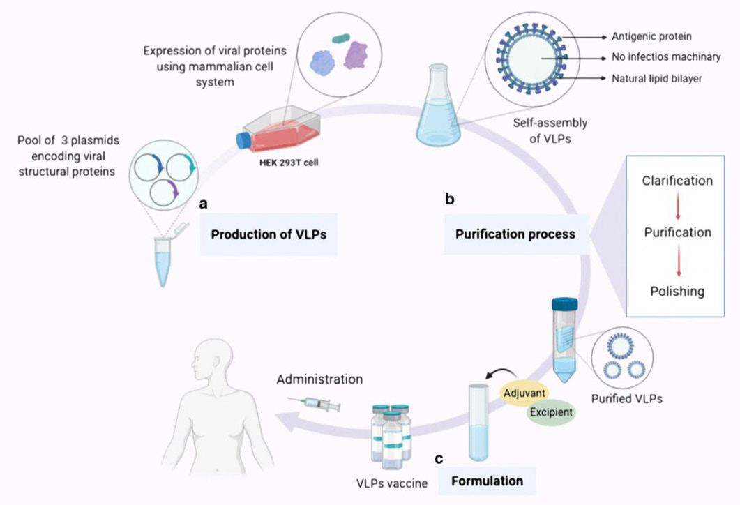 Figure 2: