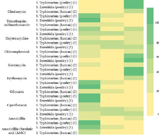 Figure 2: