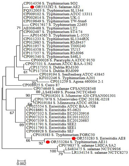 Figure 4: