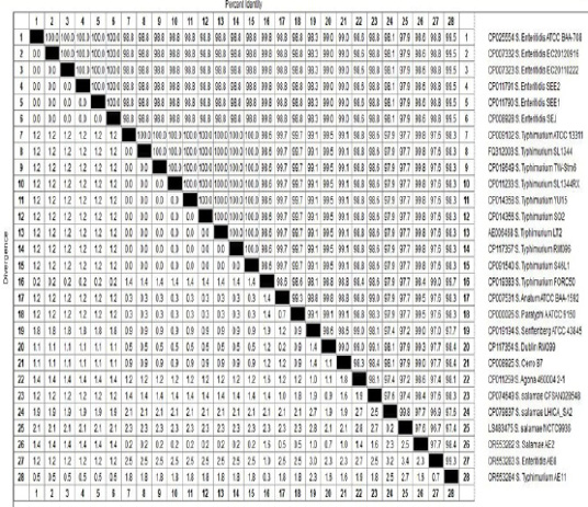 Figure 5: