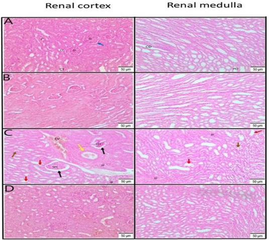 Figure 5: