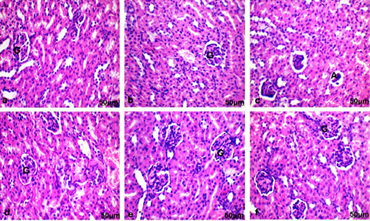Figure 3: