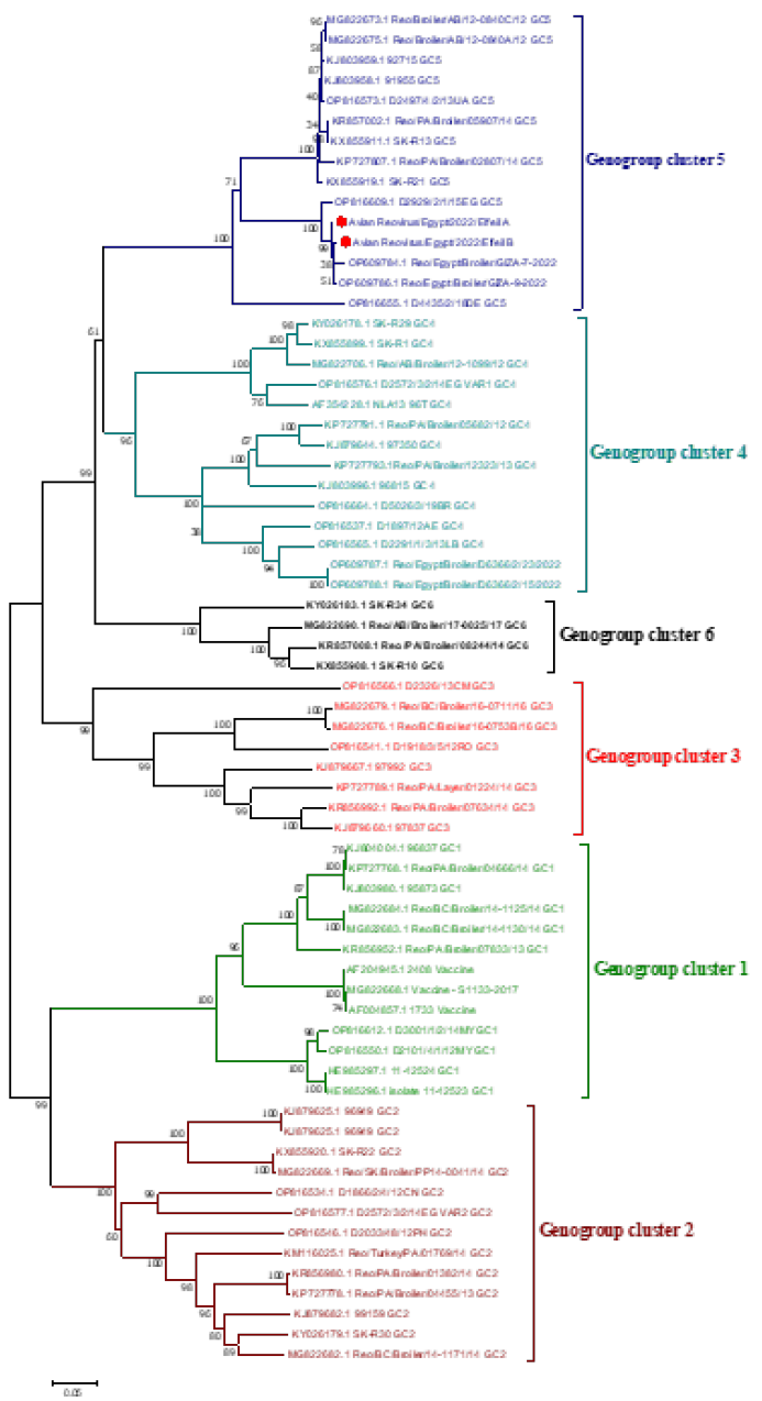 Figure 3: