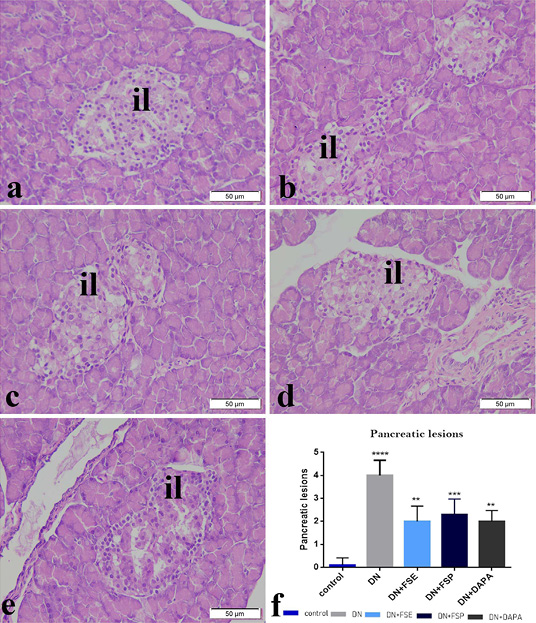 Figure 7: