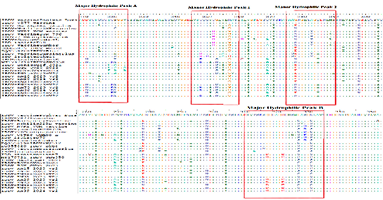 Figure 2: