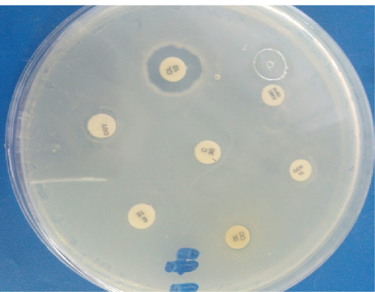 Figure 9: