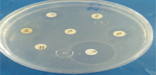Figure 6: