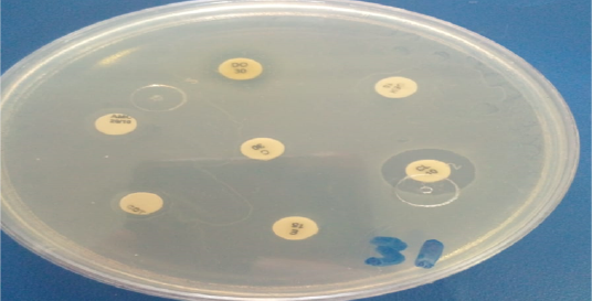 Figure 7: