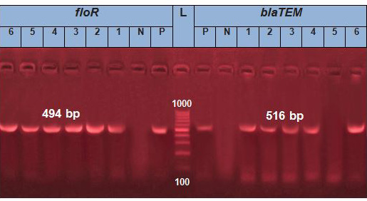 Figure 10: