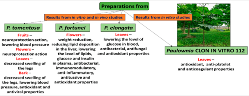 Figure 3: