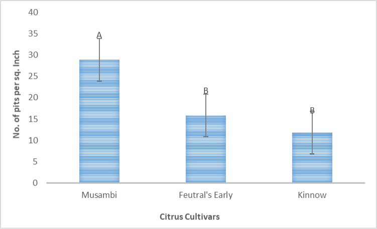 Figure 6: