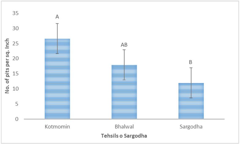 Figure 7:
