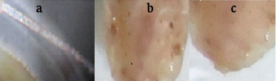 Figure 6: